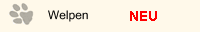 Welpen